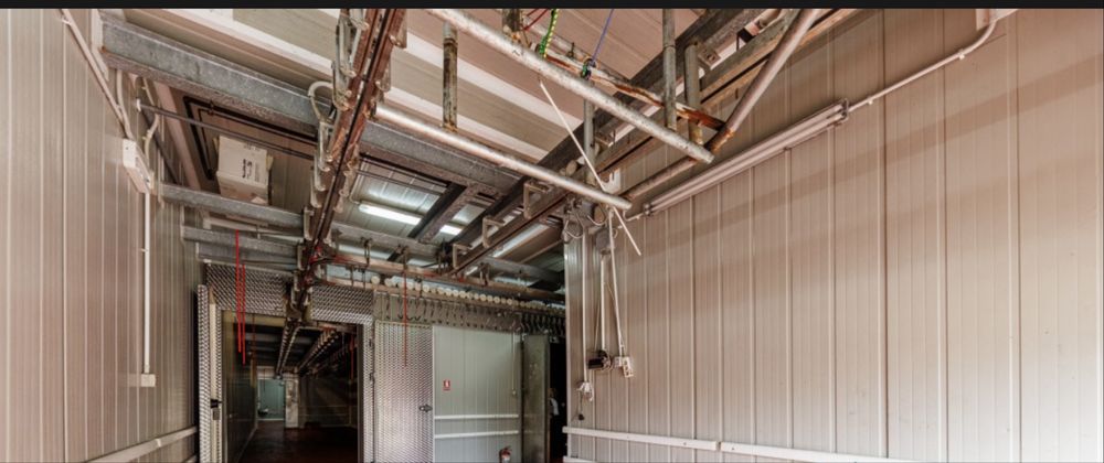 Linie aeriana inox incarcare / descarcare pentru transare, maturare