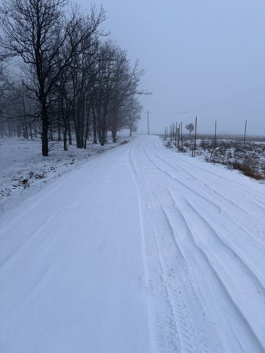 Teren intravilan Palilula 1000mp