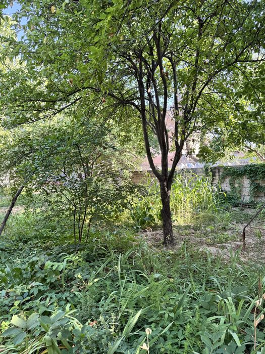 Паркентский 12сотих 2та махалага караган