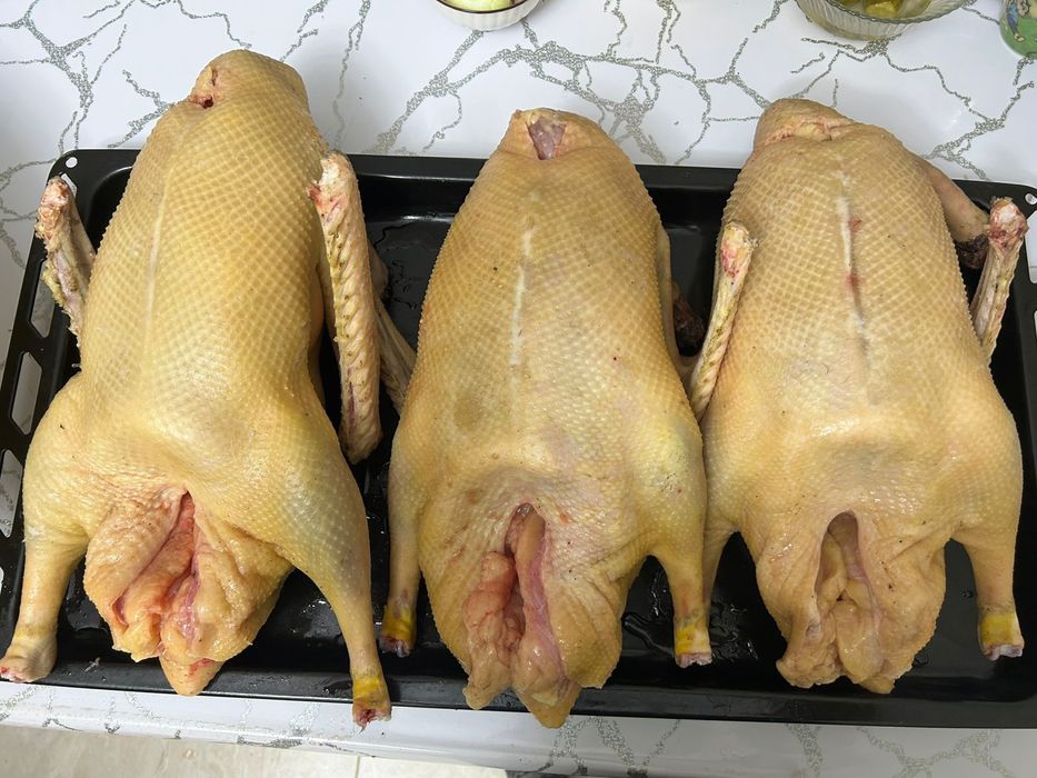 Продам домашних гусей.