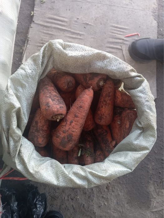 Продам фрукты/овощи