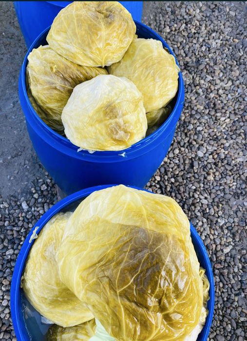 Varza murata Marloo si Romaneasca