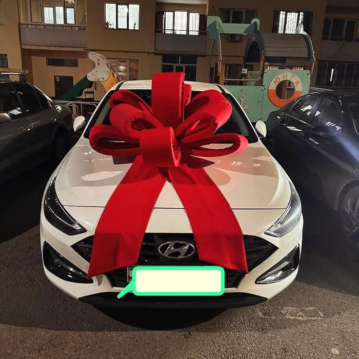 Подарочный бант, тент на машину-6000