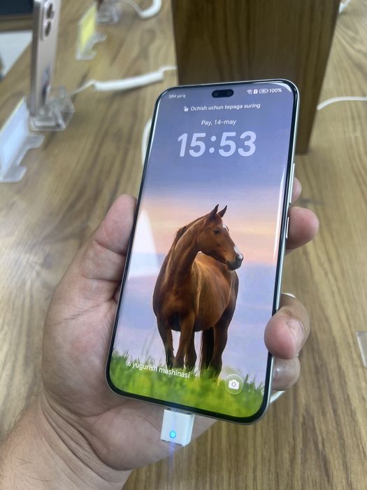 Honor 400 Pro 12/512 GB lunar