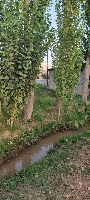 12 сотихли ХОВЛИ сотилади!