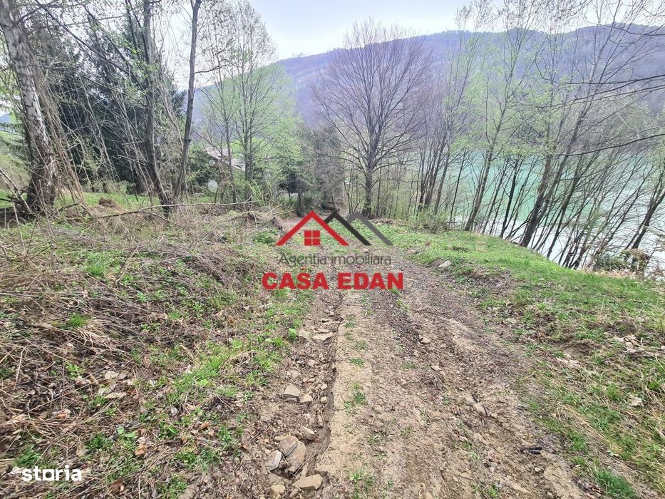 Teren intravilan in Valea Doftanei - Parajul Paltinu--1000 mp--120e