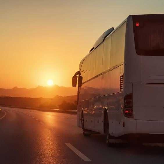Avtobus xizmatlаri (Транспортные услуги)