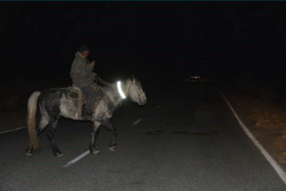 светоотражающая лента