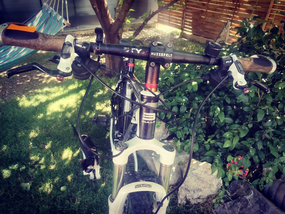 Bicicleta Bulls 29