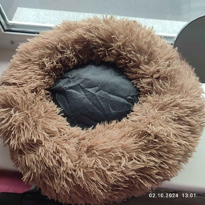 Новая лежанка для котят