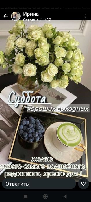 Шиповник сушёные плоды