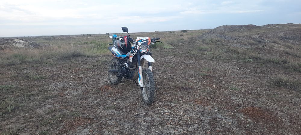 Реичер пантера 250