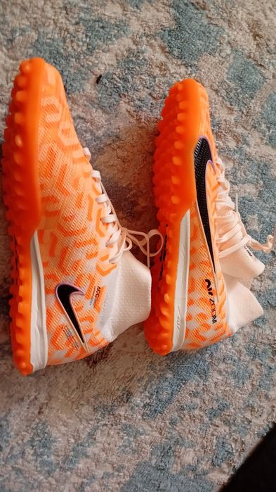 Потерялись сороконожки