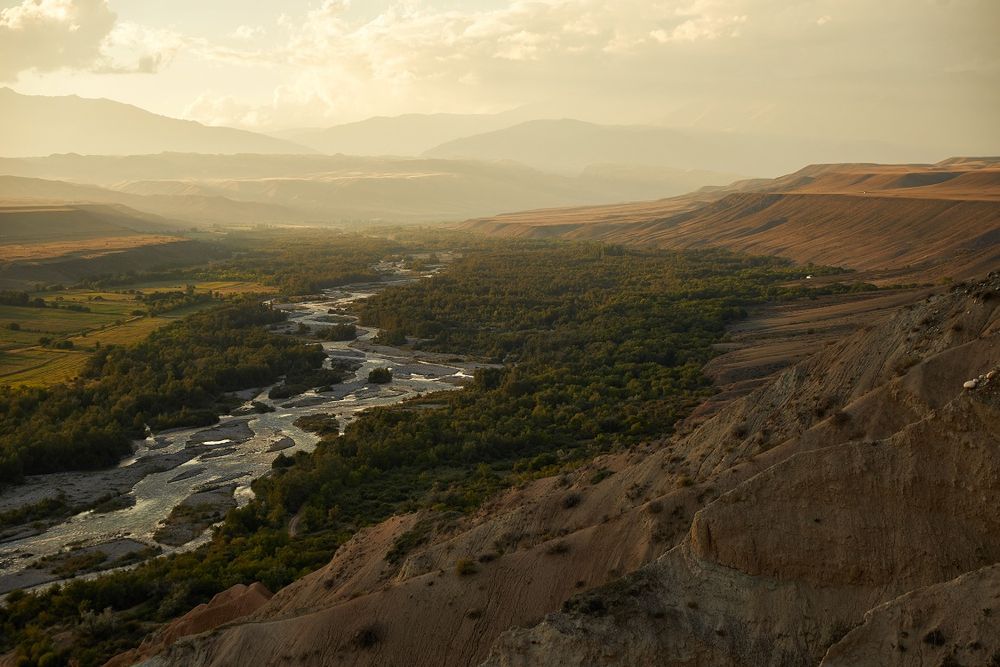 Картина  "природа Казахстана" холс