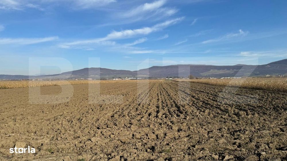 Vand 53 de ari de teren intravilan in Arcalia