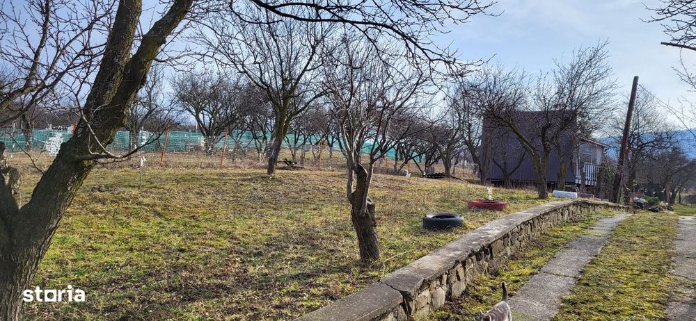 Teren Intravilan 43Ari zona Ortelec-Zalau intre case 4800eur/ar