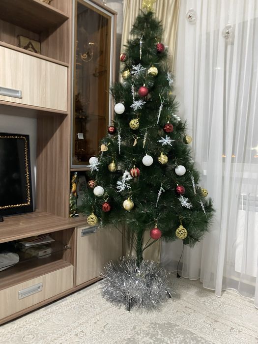 Отдам елку бесплатноберите зимой непожалеете что взяли для своих детей