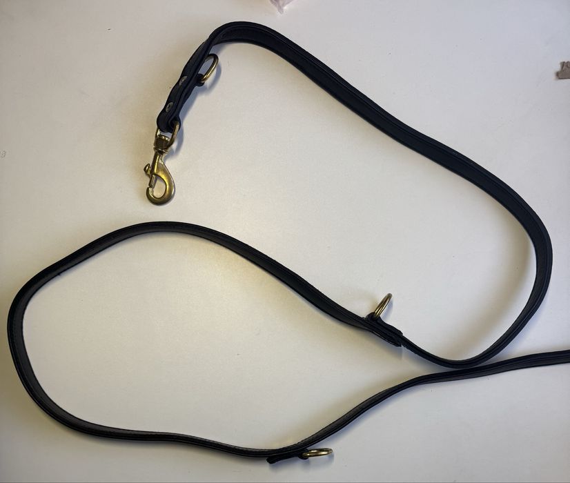 Set Zgardă + Lesă Piele