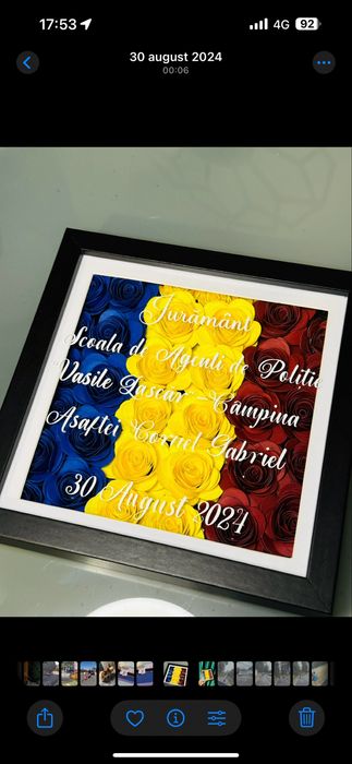 Tablou 3D personalizat pentru depunerea juramantului