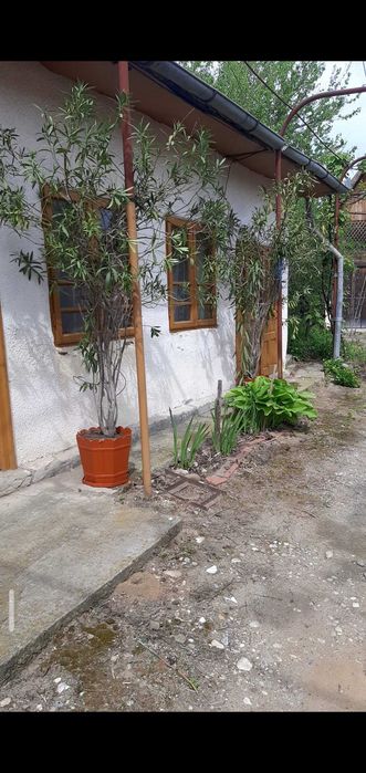 Casa mobilata locuibila centru Daneti 3 camere 80mp, cu numeroase dependinte, inclusiv 2 beciuri, curte si gradina 2.700 mp, apa si curent