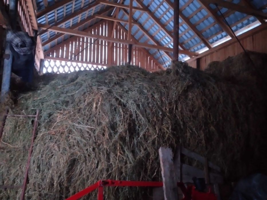 vand lucerna si otava nebalotate