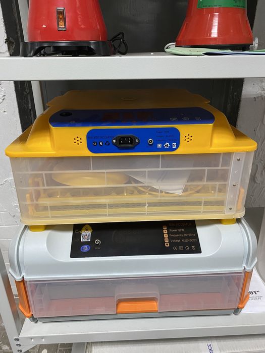 Инкубатор, инкубаторы для яиц