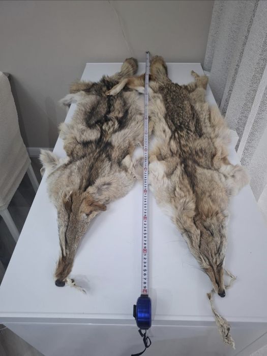 Продам декоративную шкуру