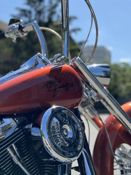 Harley Davidson Softail Custom