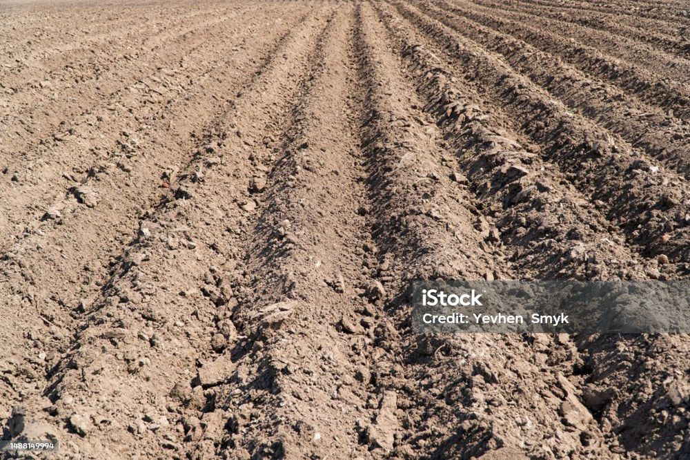 Качественная двойная вспашка