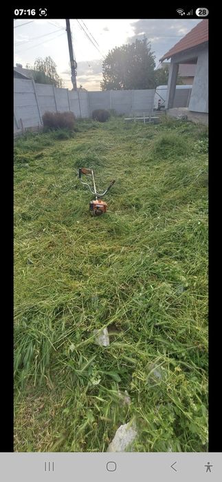 Toaletez pomi fructiferi