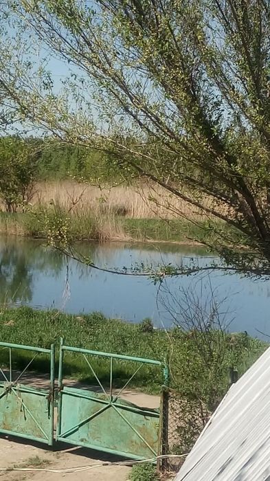 Продам дачу с/т Черёмушки. Дом зимнего варианта