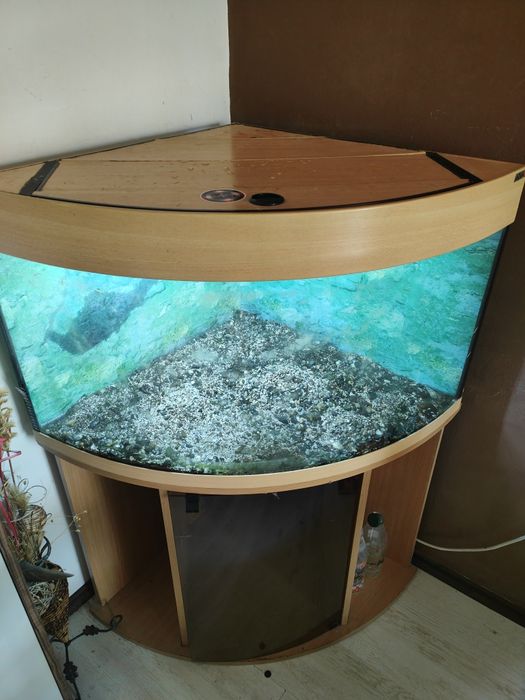 Ъглов аквариум 200 л. с оборудване