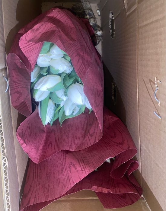 Тюльпаны свежие