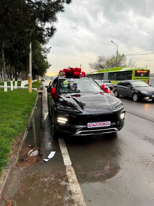 Podarochniy avto bant, аксессуары на авто, бант красный