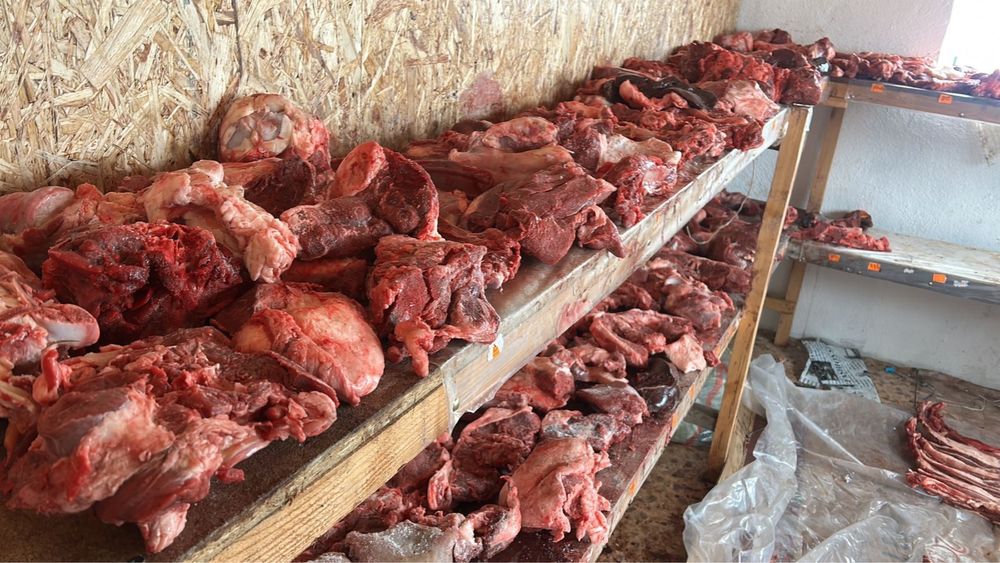 Продам байтал бір сирақ