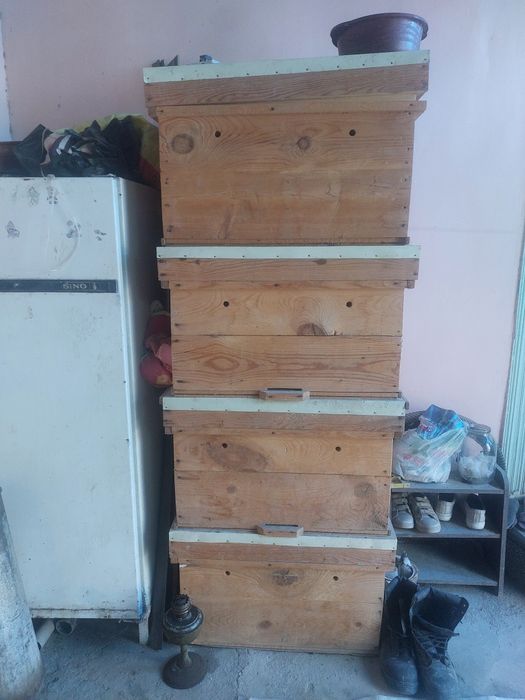 Асалари уялари сотилади