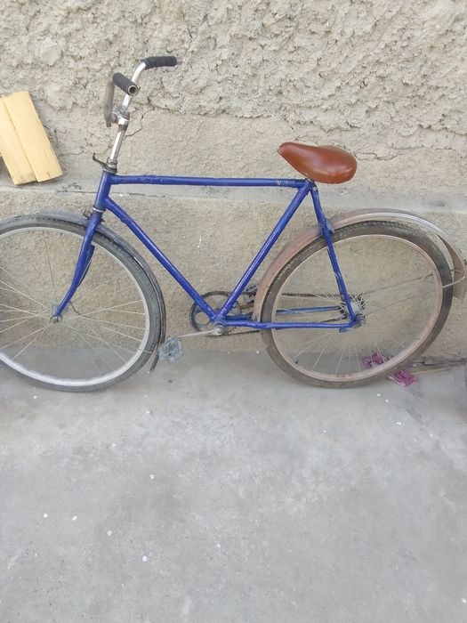 28 velik holati urta