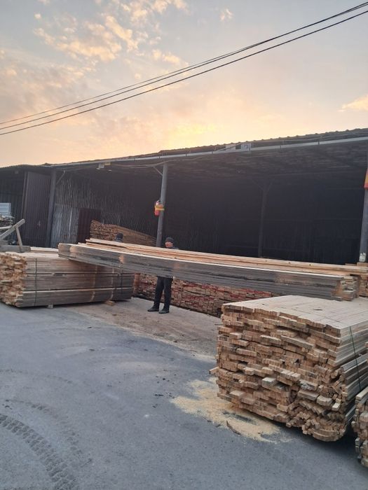 Дерево сосны продаю