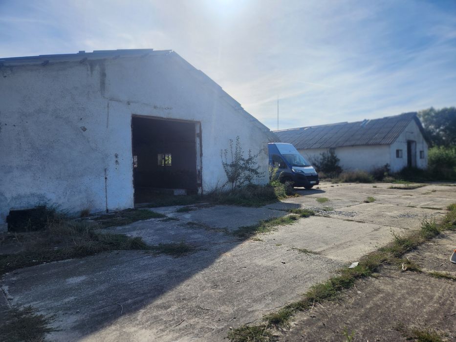 Inchiriez 2 Hale 2000m Sat Rausor Brașov