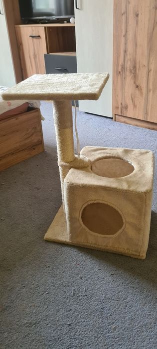 Котешка катерушка
