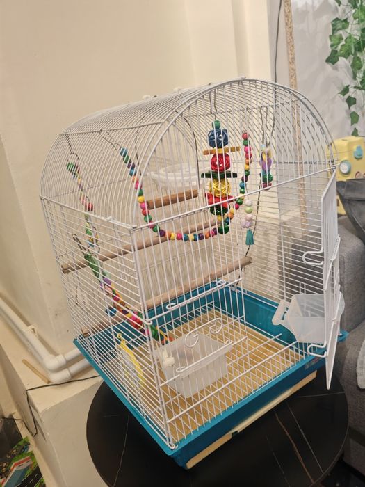 Colivie complet echipata peruși papagali