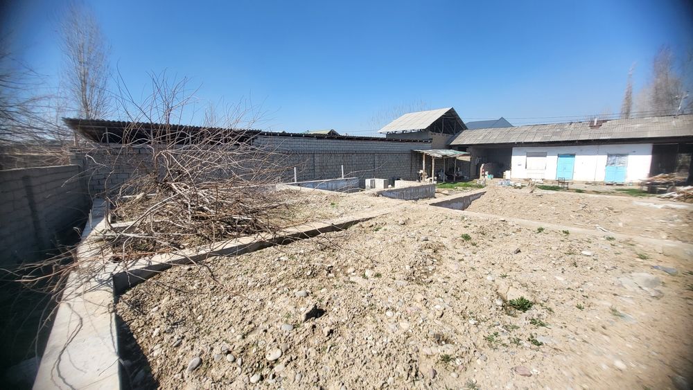 Бектемир Устозлар Махалласида