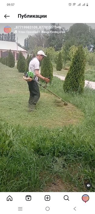 Шоп ору косим траву