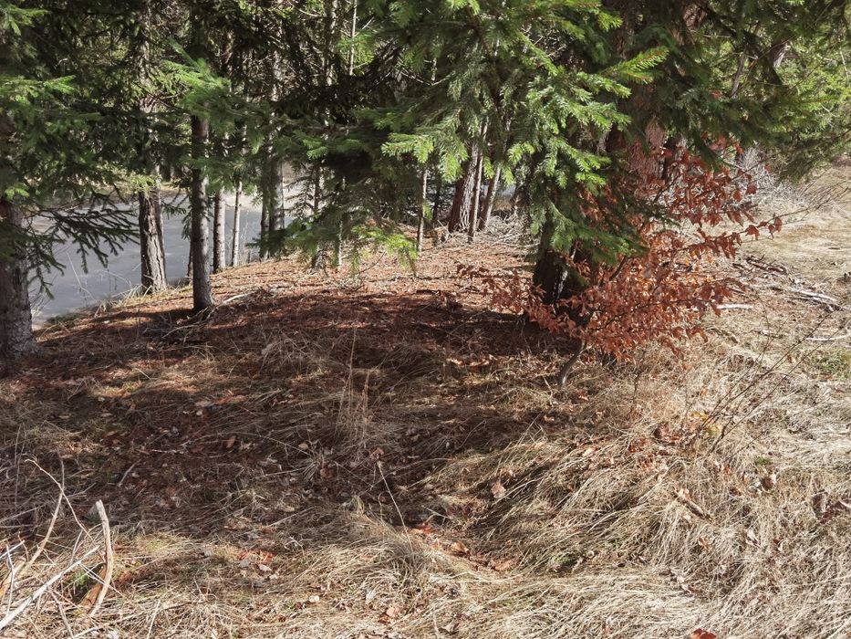 Продава се Земеделски имот в Сърница -  кв.м за 45 €/дка - Снимка #8