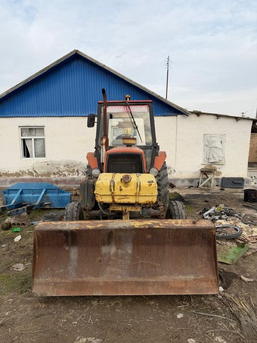 Юмз борекс  2008 жылгы