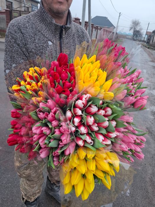 Тюльпаны по 700 тг