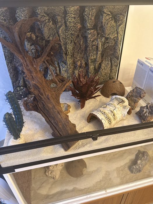 Acvariu, terariu, vivariu