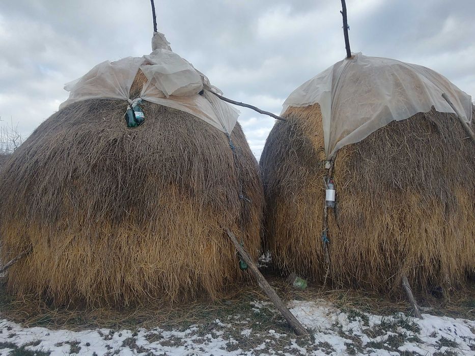 Vand 2 stoguri de fan