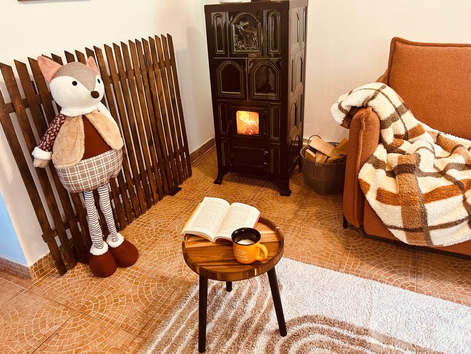 Inchiriez cabana, cu ciubar  Muntele Baisorii,Buscat.