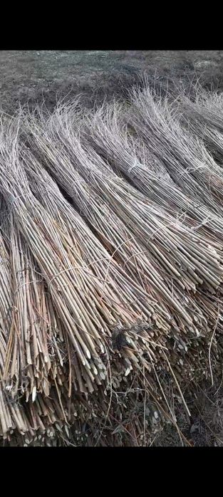 Тол новдаси сотилади